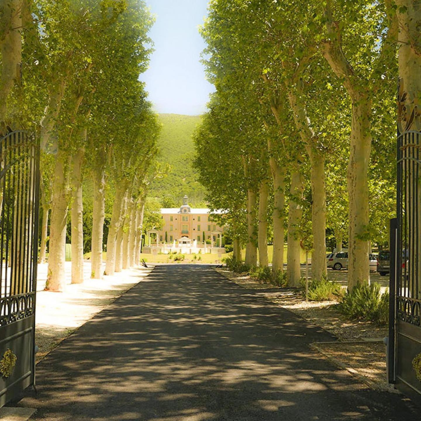 Chateau Des Gipieres Bij De Mont Ventoux Montbrun-les-Bains Eksteriør billede