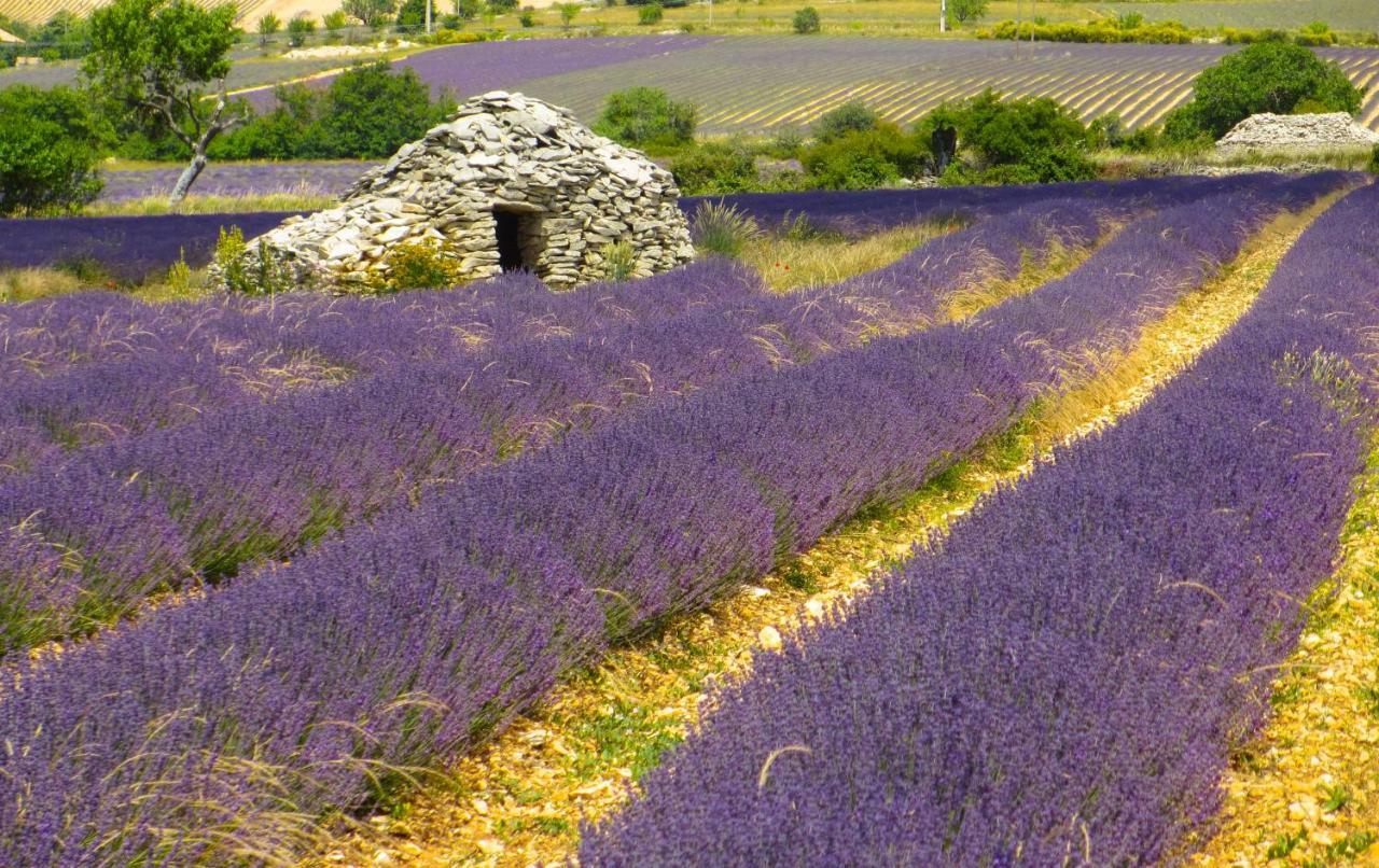 Chateau Des Gipieres Bij De Mont Ventoux Montbrun-les-Bains Eksteriør billede