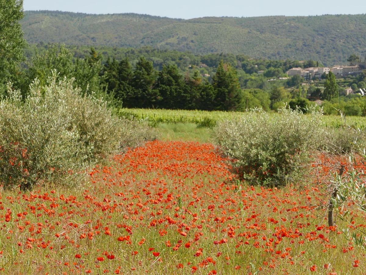 Chateau Des Gipieres Bij De Mont Ventoux Montbrun-les-Bains Eksteriør billede