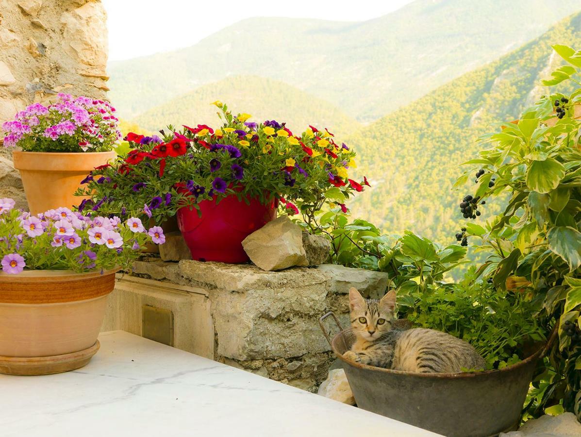 Chateau Des Gipieres Bij De Mont Ventoux Montbrun-les-Bains Eksteriør billede