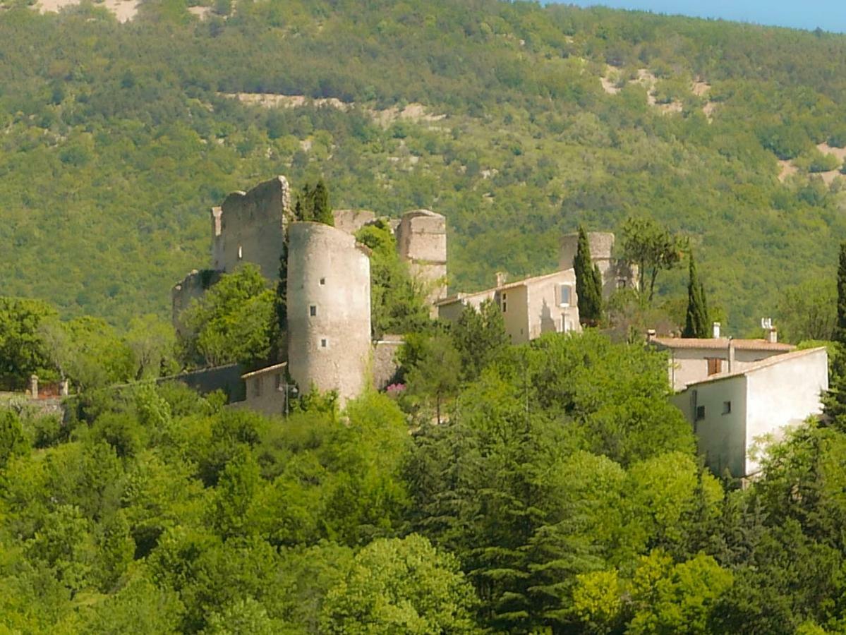 Chateau Des Gipieres Bij De Mont Ventoux Montbrun-les-Bains Eksteriør billede