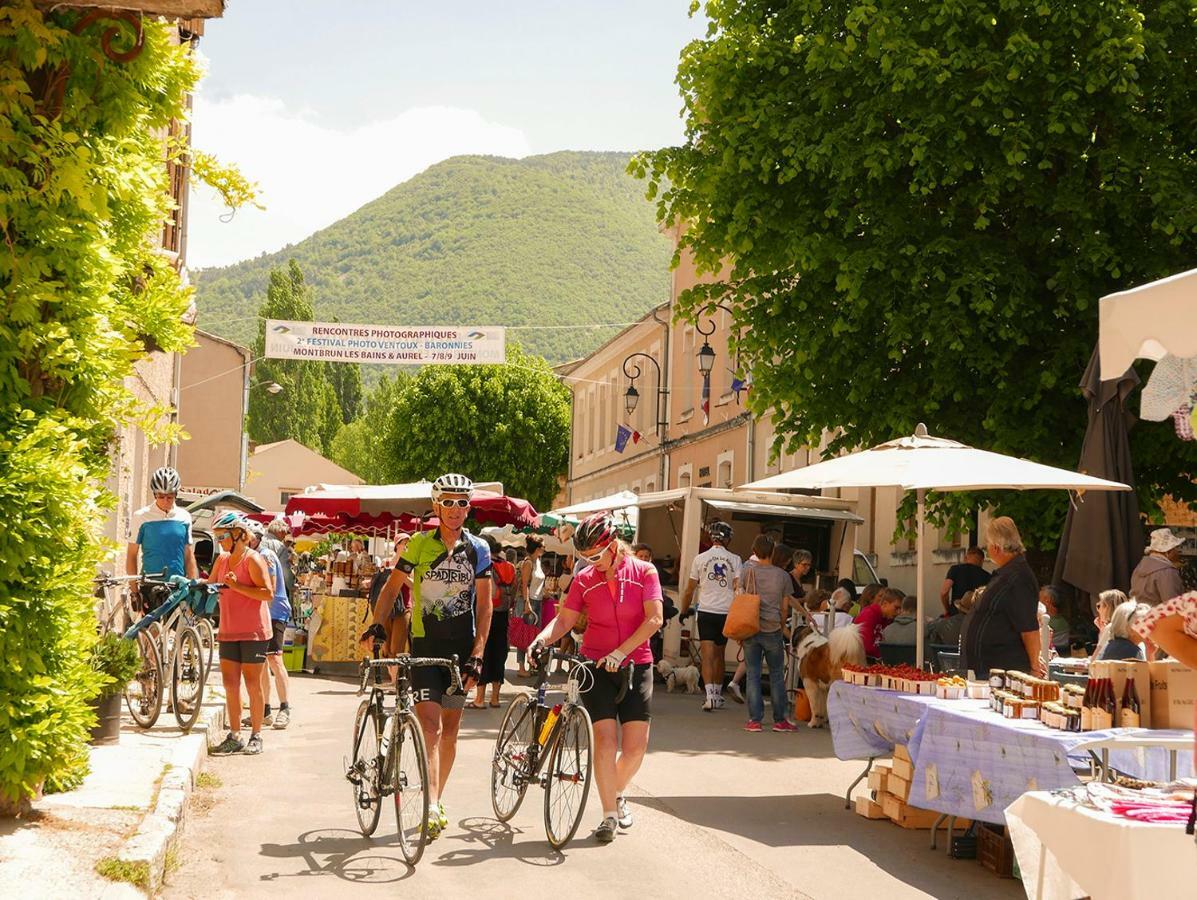 Chateau Des Gipieres Bij De Mont Ventoux Montbrun-les-Bains Eksteriør billede