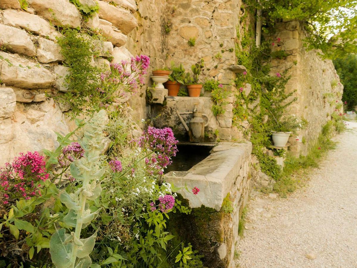 Chateau Des Gipieres Bij De Mont Ventoux Montbrun-les-Bains Eksteriør billede