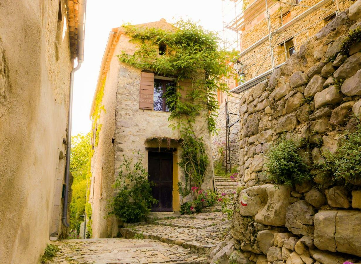 Chateau Des Gipieres Bij De Mont Ventoux Montbrun-les-Bains Eksteriør billede